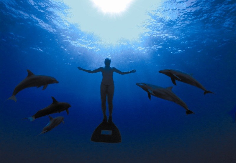 The Cove - Photo Credit Oceanic Preservation Society, Louie Psihoyos