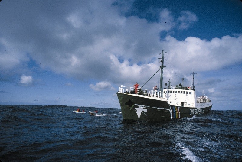 The Rainbow Warriors of Waiheke Island