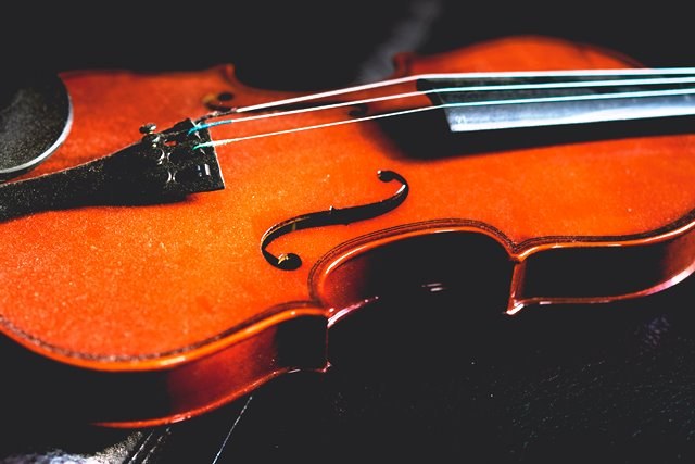 Violino