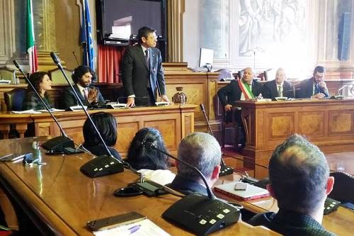 consulta universitari forli