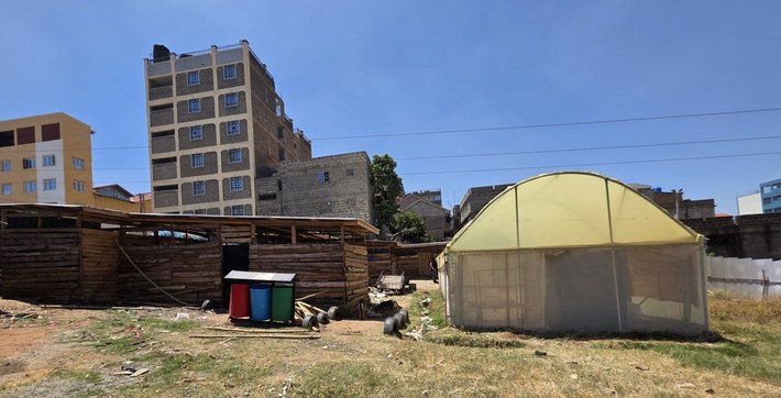 Lo stabulario e la serra costruiti dall'associazione LEWMO nell'area di Lucky Summer, ai margini della discarica di Dandora