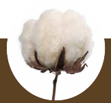 La giornata mondiale del sonno all'Unibo