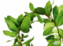 La quarta edizione dei premi per tesi di laurea Università e Ravenna