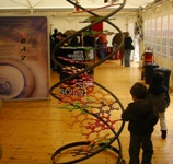 La Scienza in Piazza