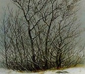C. D. Friedrich, Arbusti nella neve (1828)