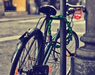 L'asta di biciclette in Piazza Maggiore per la Settimana europea della Mobilità sostenibile