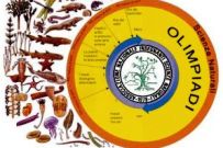 Logo Olimpiadi