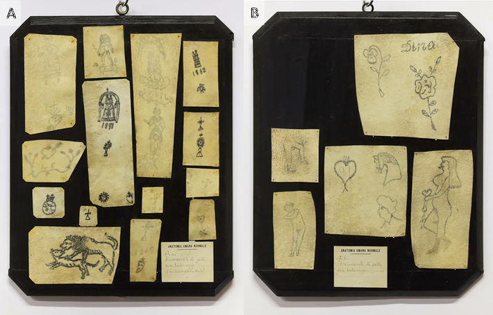 I frammenti di pelle tatuata conservati alla Collezione delle Cere Anatomiche "Luigi Cattaneo"