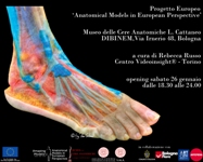 Le anatomie di Pau Golanò al Museo Cattaneo