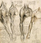 Particolare di una delle opere esposte nella mostra Rappresentare il Corpo di Palazzo Poggi