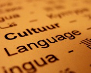 L'inglese nelle università