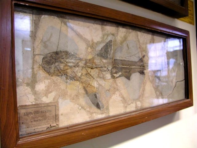 Opere dei paleoartisti