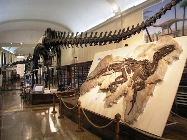 La sala del Diplodoco