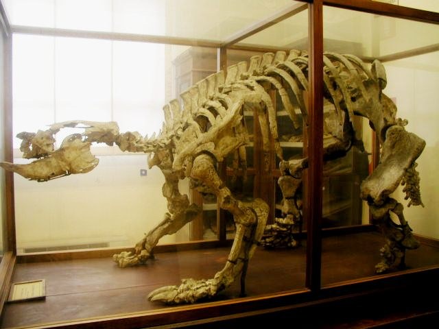 Scipionyx samniticus