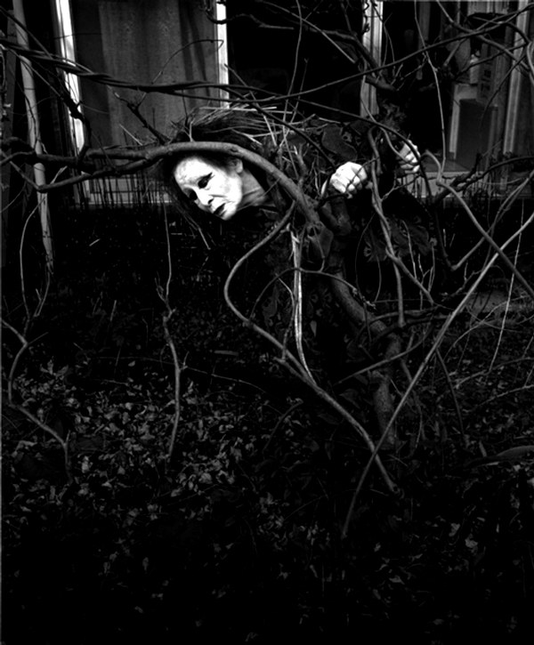 Musica, teatro e cinema ai Laboratori delle Arti