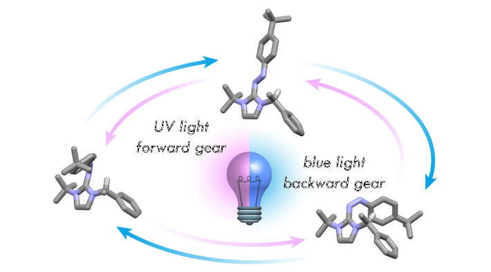 ROAR - Figura riassuntiva