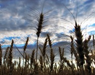 Nasce il master in "Gestione e riutilizzo dei beni confiscati alle mafie", intitolato a Pio La Torre