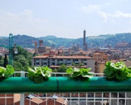 Nascono altri due orti sui tetti di Bologna