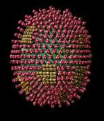 Virus H5n1