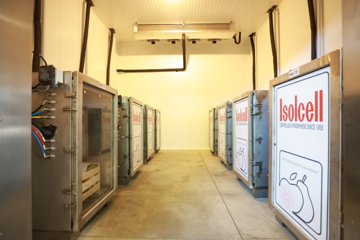 celle atmosfera controllata