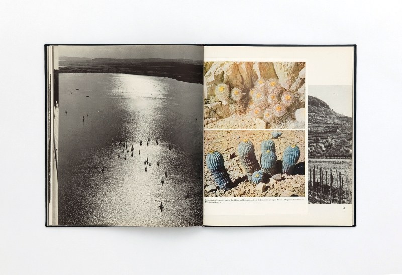 The Infinite Library