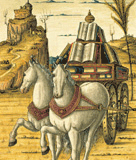 Logo della mostra "Petrarca nel tempo"