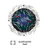 Colloide, quattro poli