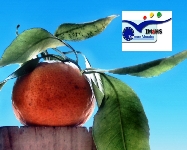 Produzione agricola e sostenibilità a livello internazionale