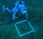 Ricerca marina: una settimana in Corsica per ventisei studenti