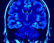 Riconoscere le intenzioni ingannevoli grazie alla simulazione