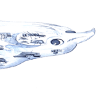 Particolare di una delle opere esposte