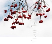 Savignano Immagini: la ventesima edizione