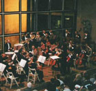 Collegium Musicum