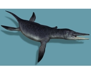 Scoperto il primo scheletro di plesiosauro italiano