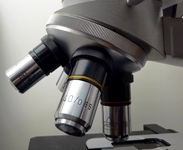 Scoperto l'onco-giano, gene bifronte che soffoca il cancro