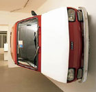 Una Starling esposta alla mostra Drive