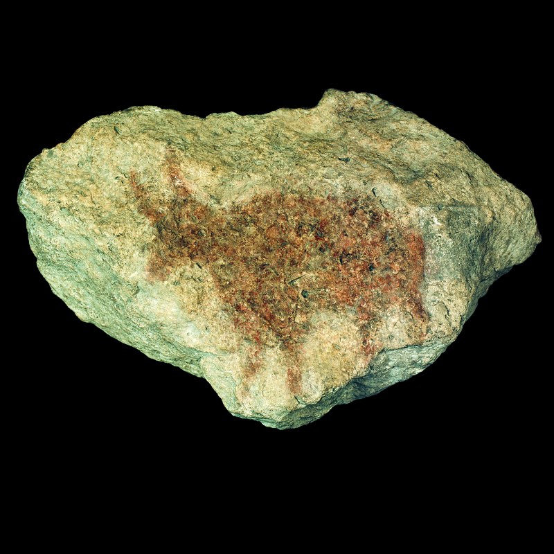 Pietra dipinta con raffigurazione di stambecco rinvenuta a Riparo Dalmeri (Foto: E. Munerati - MUSE)