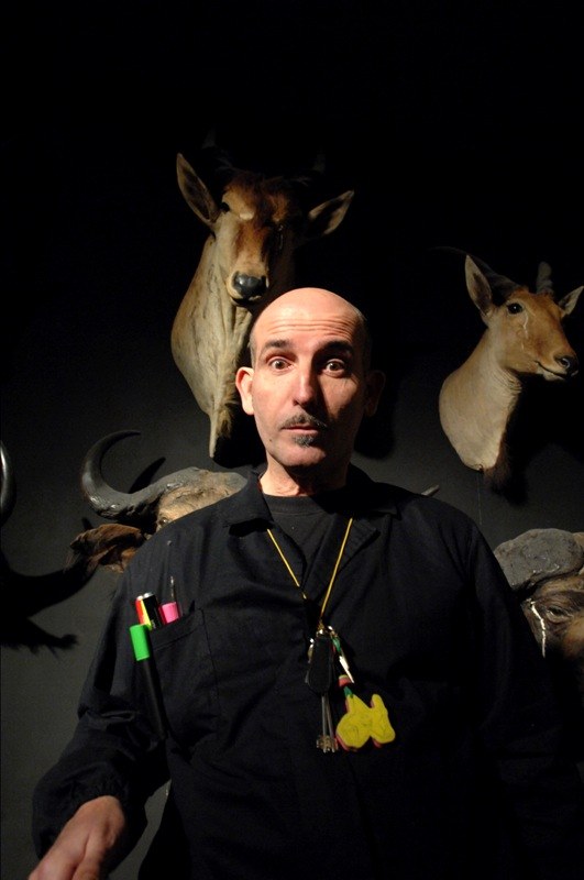 Paurosissime visite al Museo di Zoologia