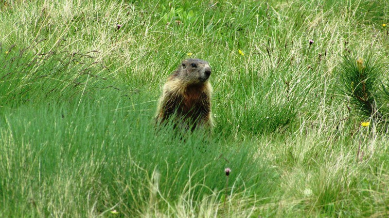 Sulle Dolomiti con Unibo