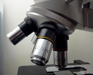 Telethon, crescono i finanziamenti per la ricerca in Unibo