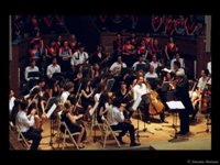 Torna Musica Insieme in Ateneo, con l'Orchestra da Camera del Collegium Musicum