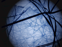 Traduzione e software libero si danno appuntamento a Forlì