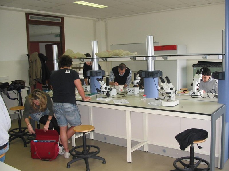 laboratori ravenna