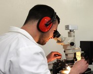 Un premio per il miglior ricercatore Unibo 2013