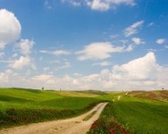 Un progetto europeo sulla Via Francigena: tra i partner anche l'Alma Mater