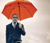 Una giornata giapponese