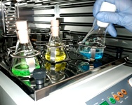 Unibo-CNR, un nuovo accordo per potenziare la collaborazione