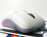 UniCredit e Università di Bologna premiano i "cervelli" eccellenti