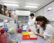 Valutazione della ricerca: l'Alma Mater ai vertici tra i mega atenei