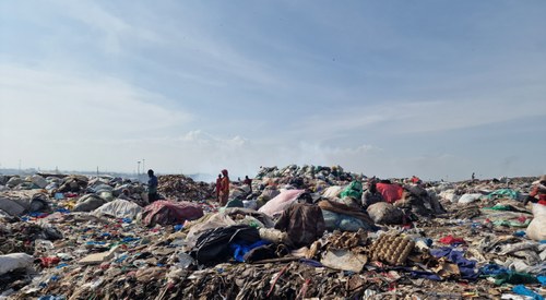 La discarica e la mosca soldato